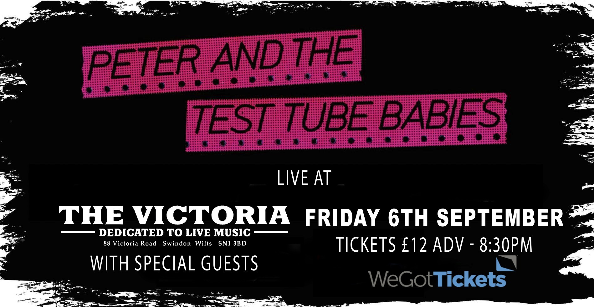 Peter and The Test Tube Babies + The Deckchairs – The Vic Swindon